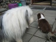 First encounter Chloe meets Freya May 2010